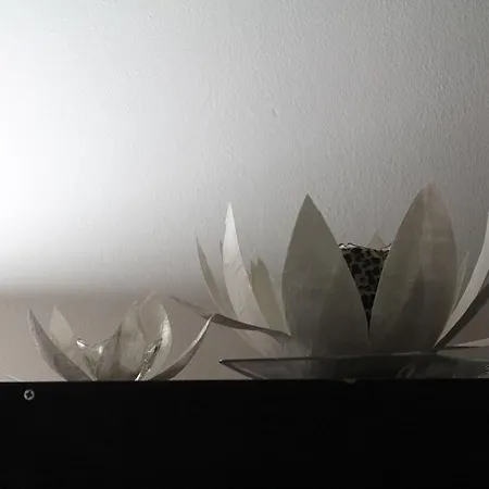 Apartament Crystal *